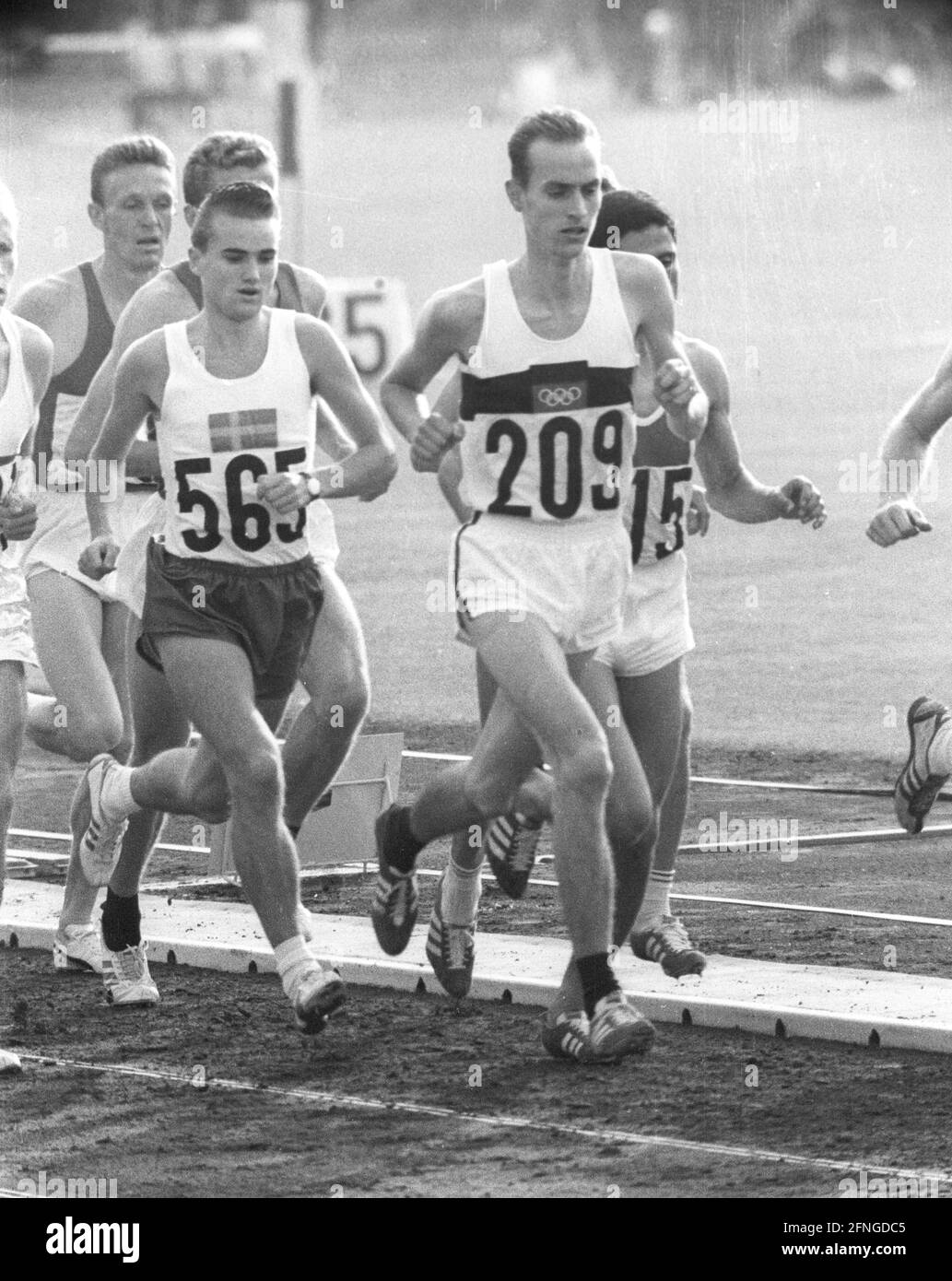 Summer Olympic Games in Tokyo 1964. Athletics: Field of runners in the 5000m race. 209= Harald Norpoth (Germany) Rec. 16.10.1964. [automated translation] Stock Photo