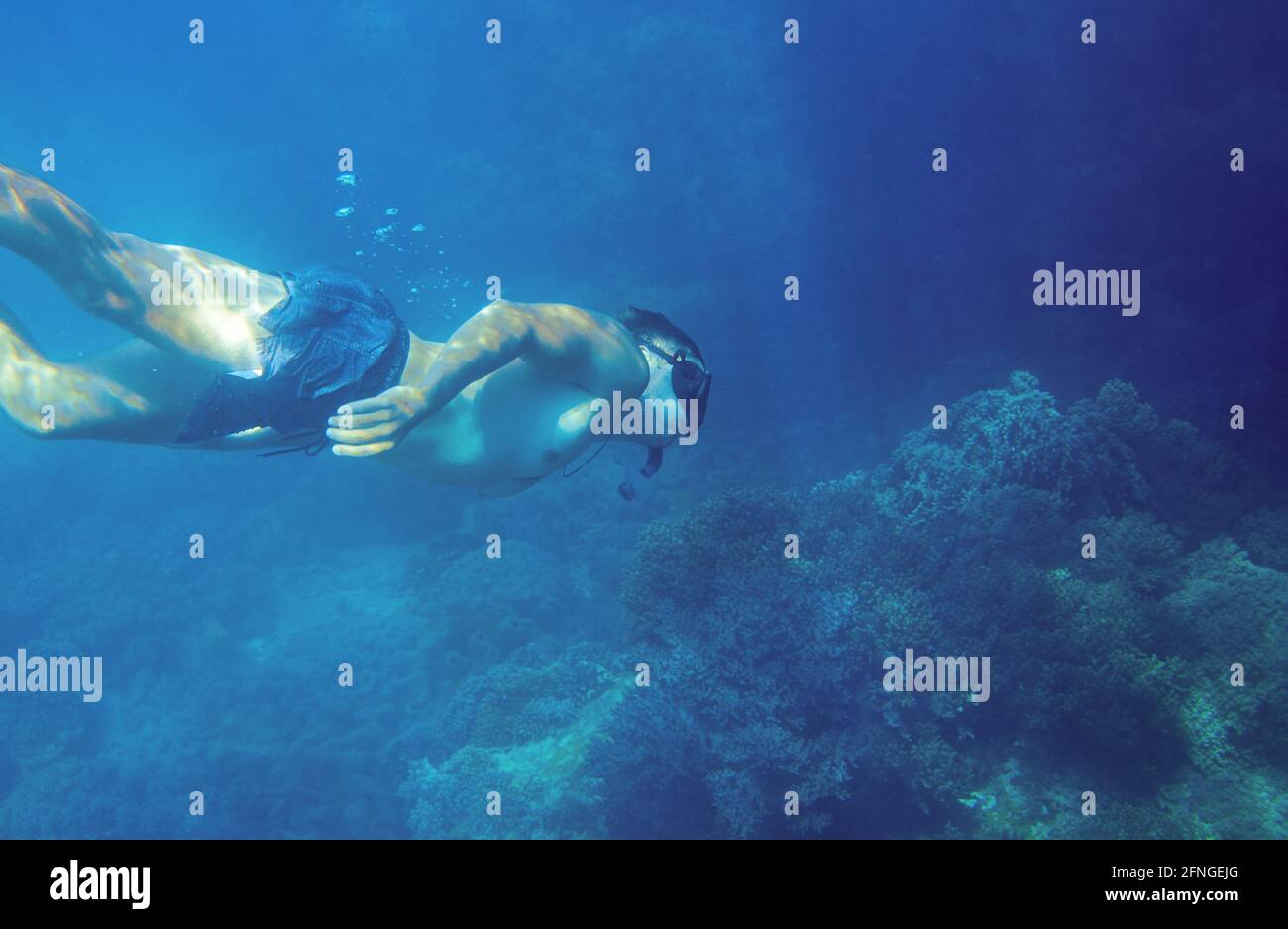 Man diving in deep blue sea. Young snorkel swims underwater. Male snorkel in tropical lagoon undersea photo. Freediving in coral reef. Active summer h Stock Photo