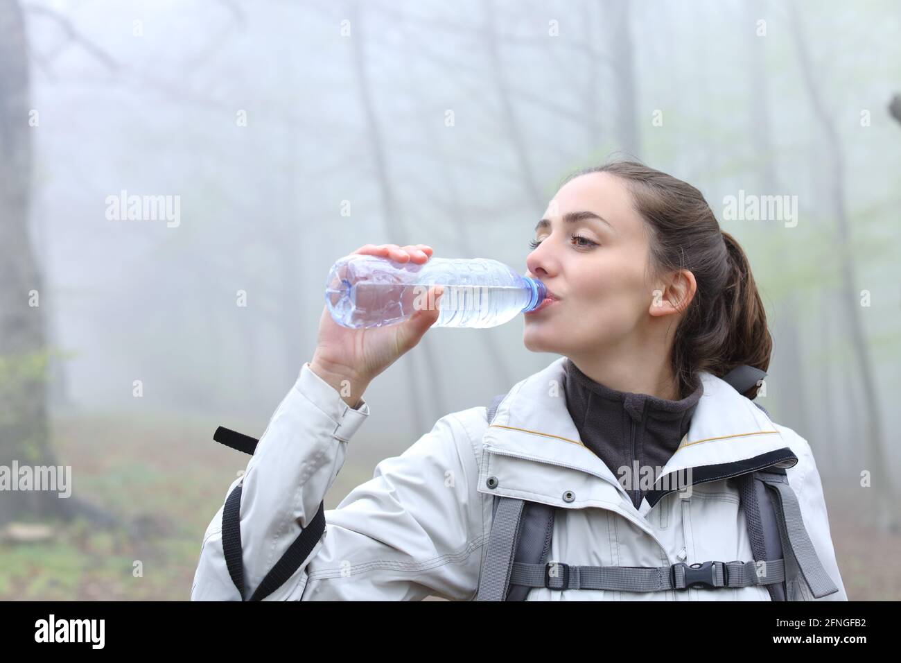 Happy hiker drinking water from plastic bottle standing in a foggy forest Stock Photo