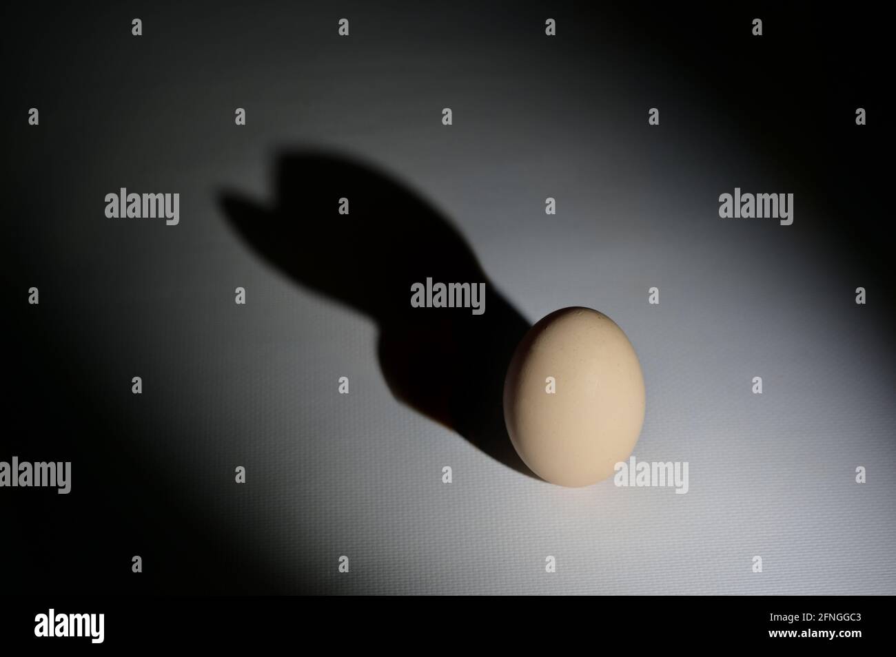 Abstract egg with duck shadow on white background Stock Photo