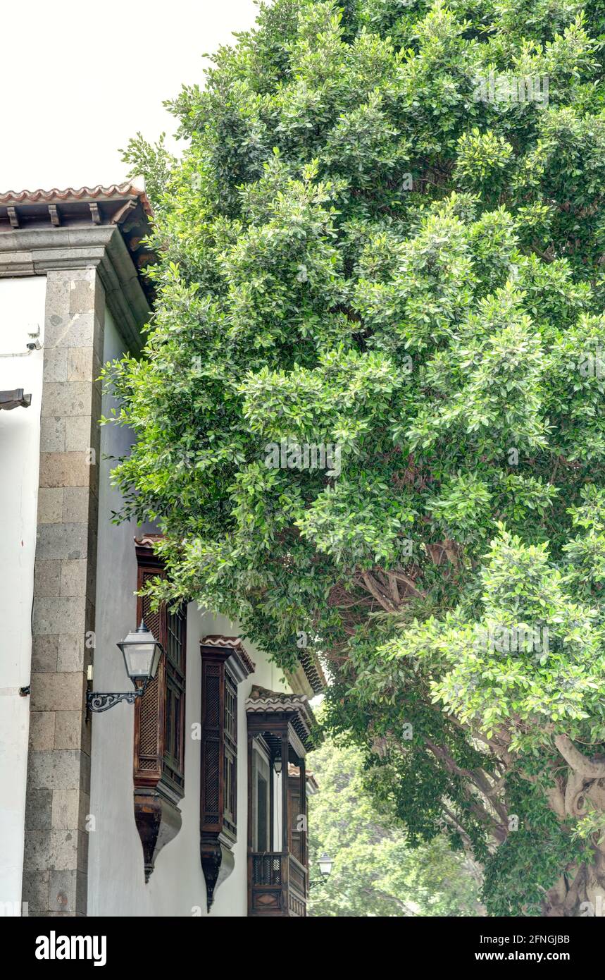 Real santuario insular de nuestra senora de las nieves hires stock