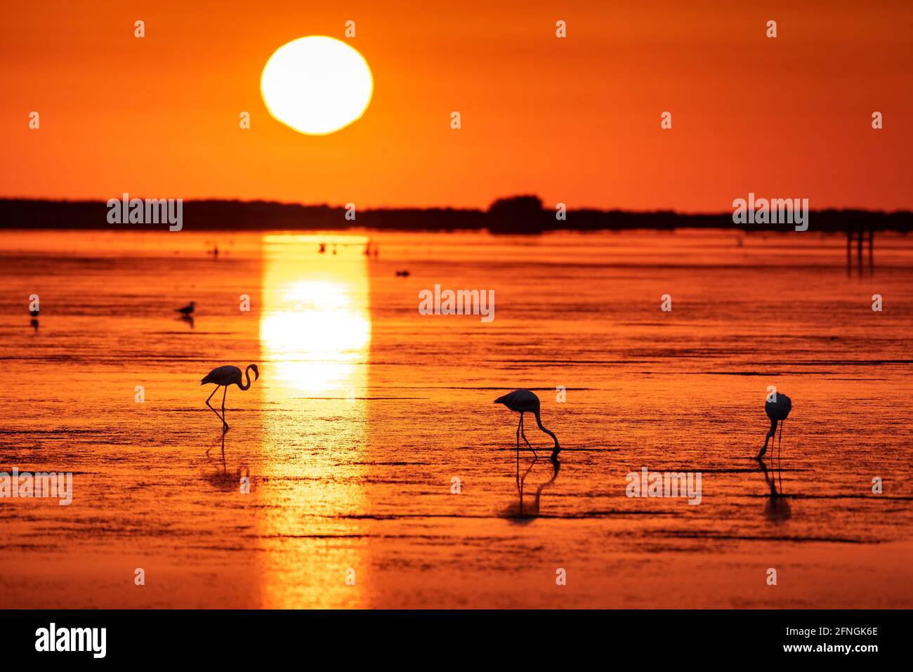 Province de tarrag hires stock photography and images Alamy