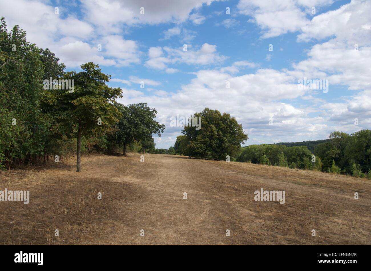 Parched community orchard in Lowndes Park, Chesham during drought of summer 2018. Stock Photo