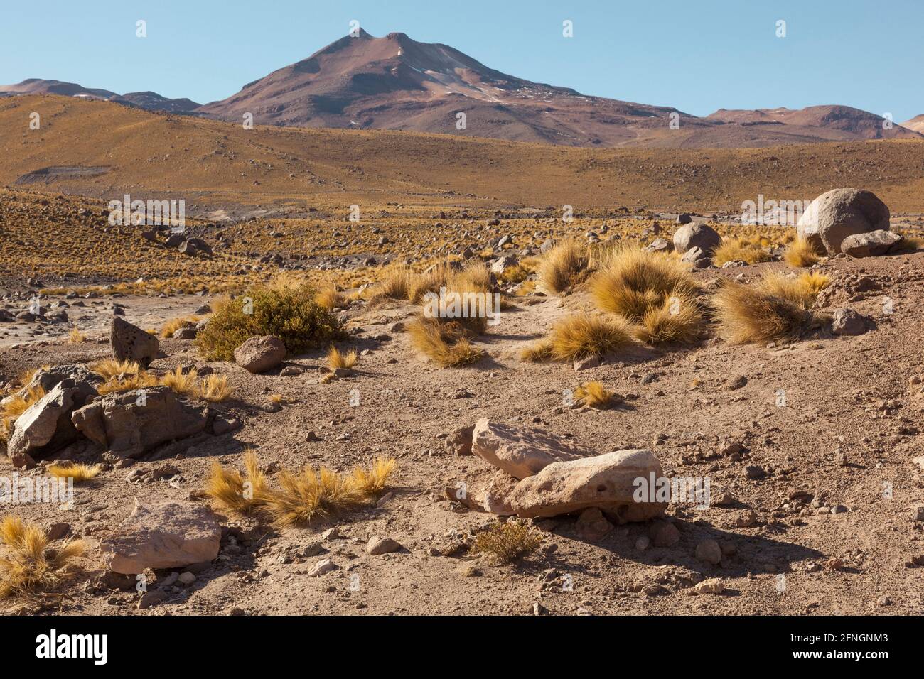 desertscape, atacama desert, Bolivia Stock Photo