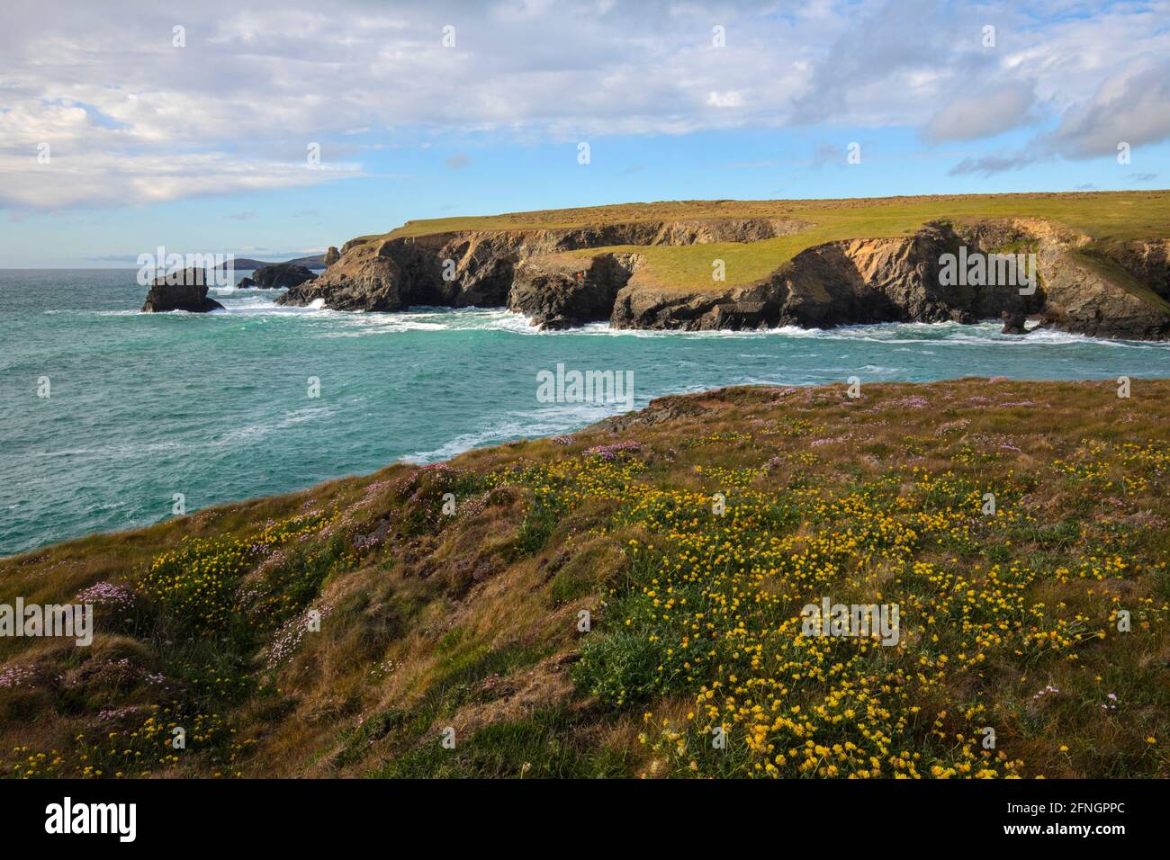 Spring Flowers North Cornwall Stock Photo Alamy