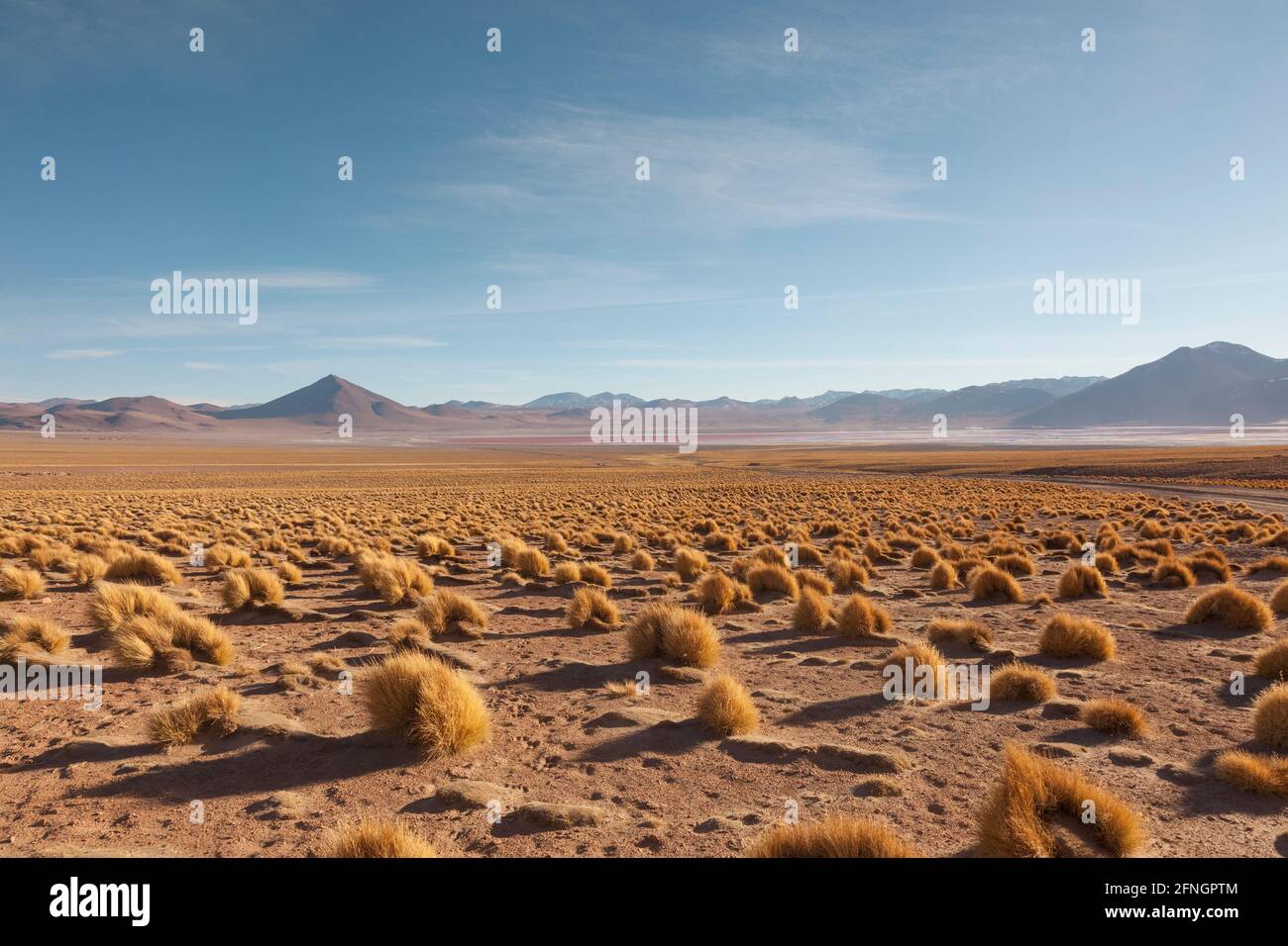 desertscape, atacama desert, Bolivia Stock Photo