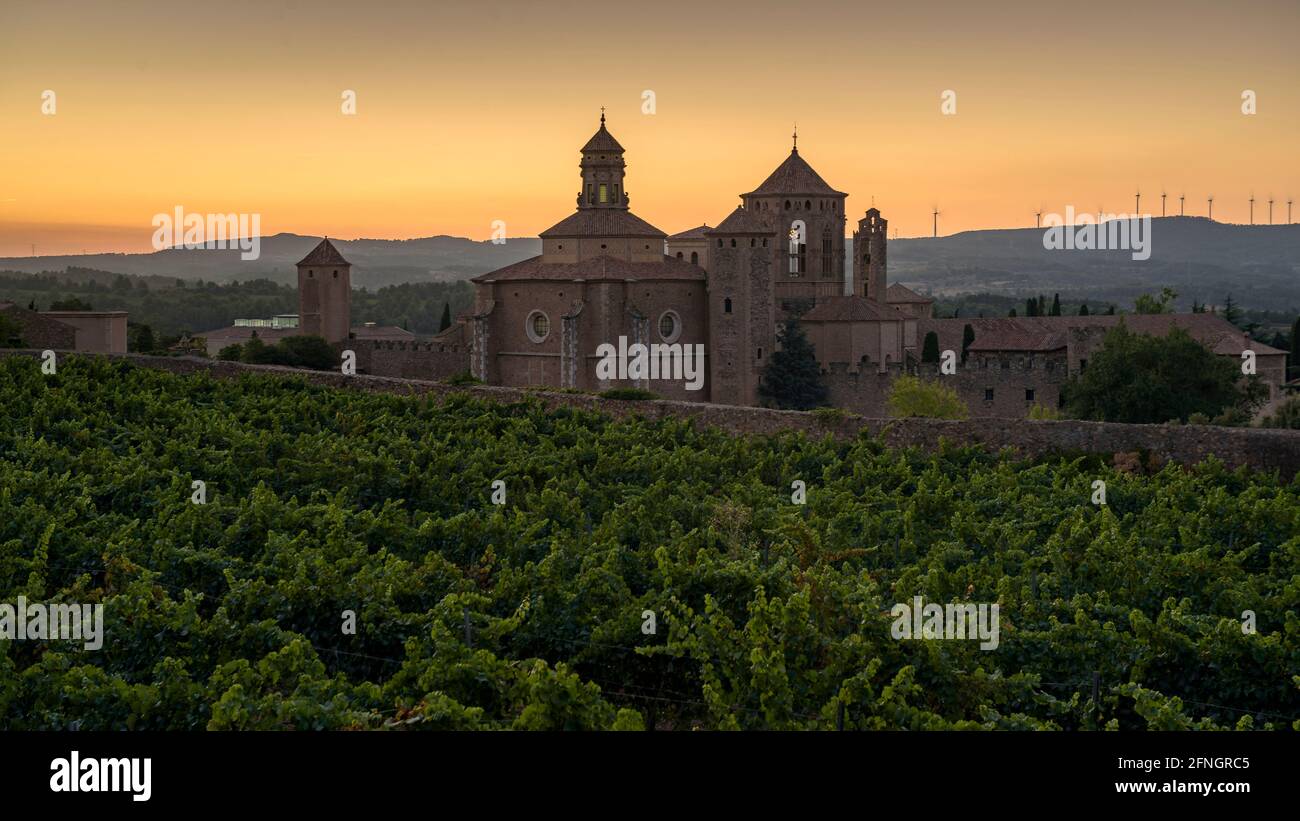 Royal Abbey of Poblet at sunset, with the vineyards in front (Conca de Barberà, Tarragona, Catalonia, Spain)  ESP: Real Monasterio de Poblet Stock Photo