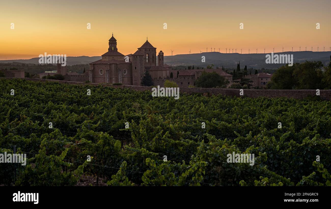 Royal Abbey of Poblet at sunset, with the vineyards in front (Conca de Barberà, Tarragona, Catalonia, Spain)  ESP: Real Monasterio de Poblet Stock Photo