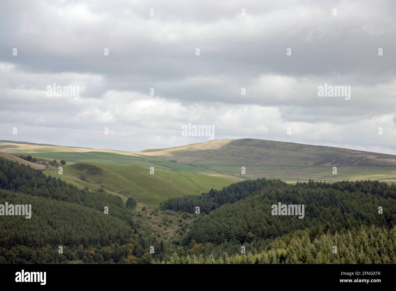 Shining Tor viewed from the Macclesfield Forest near Macclesfield Cheshire England Stock Photo