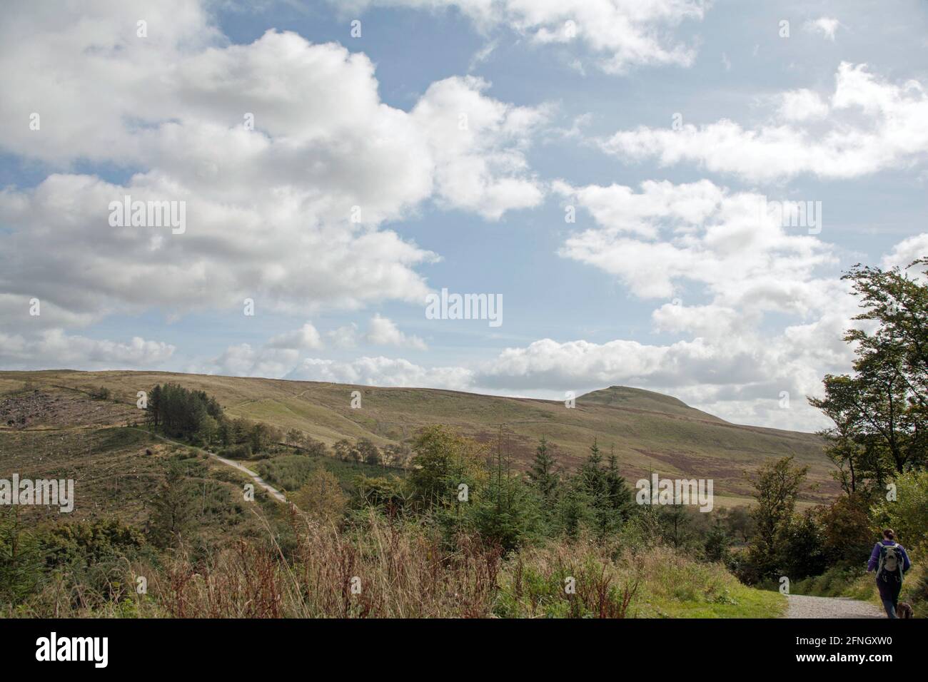 Shutlingsloe viewed from Ness Hill in the Macclesfield Forest Macclesfield Cheshire England Stock Photo