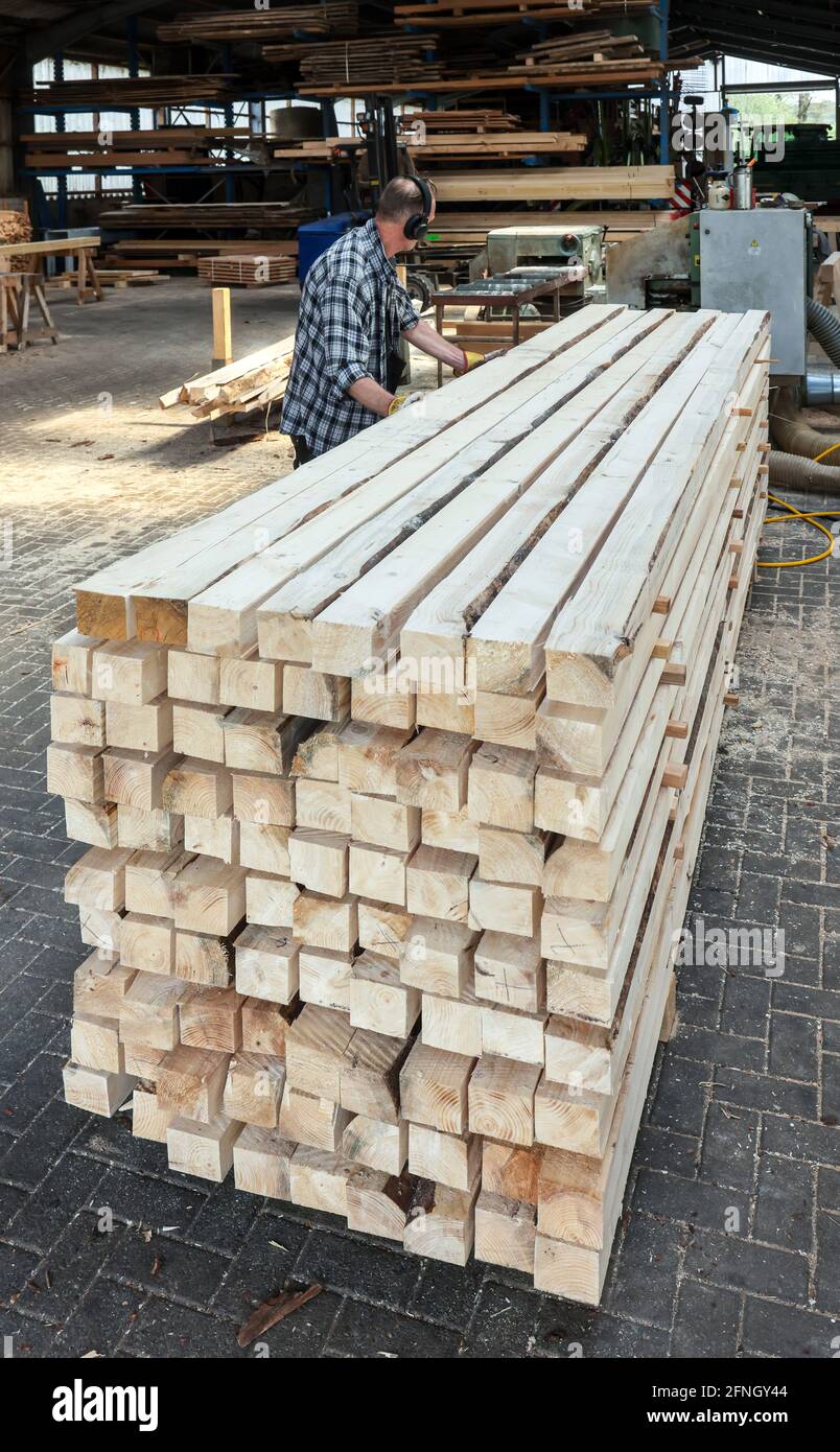 Solingen, North Rhine-Westphalia, Germany - Spruce trunk, here spruce wood infested by bark beetles, Kaeferholz, is processed into construction timber Stock Photo