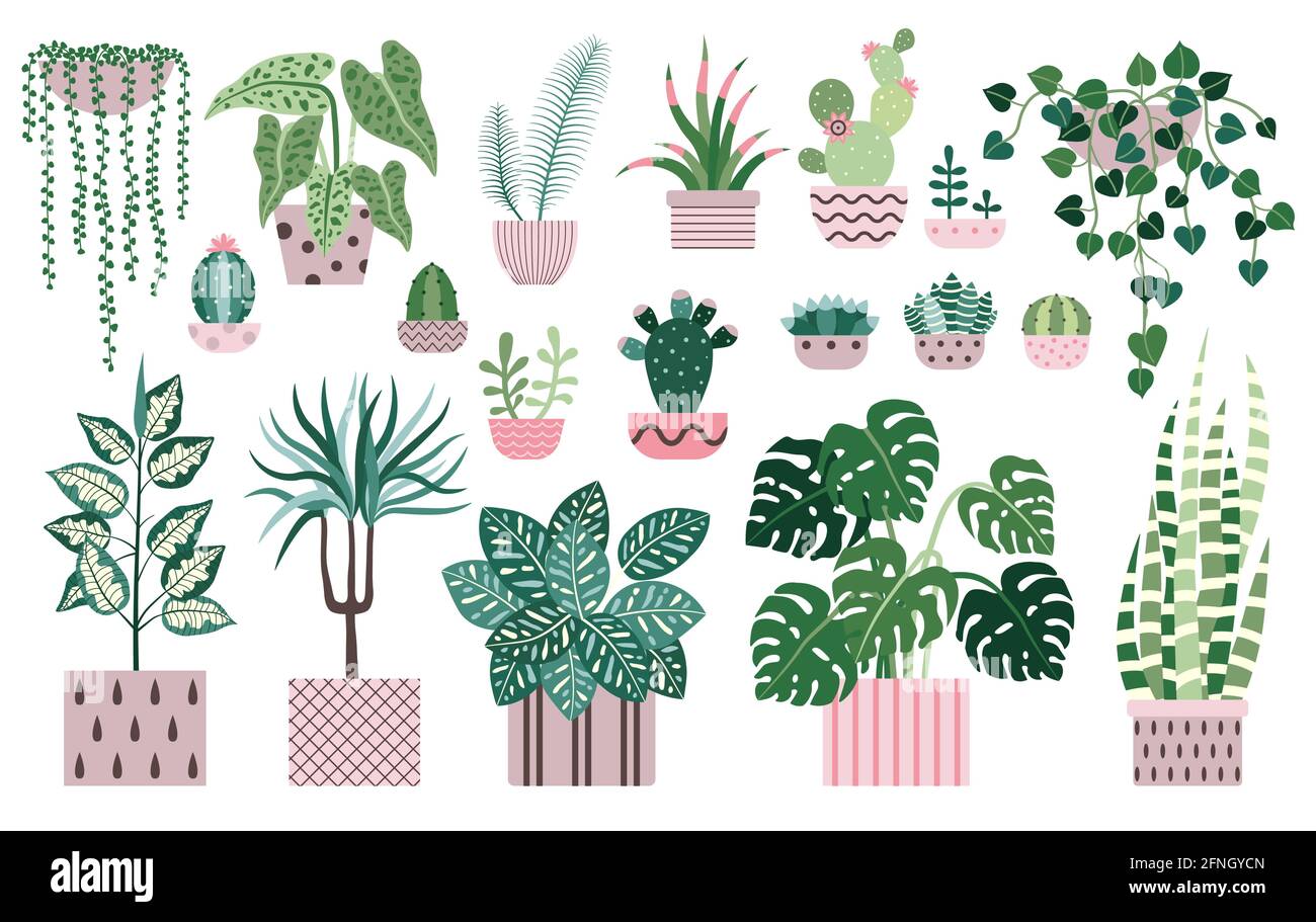 House Plants and Indoor Home Flowers Icons Stock Vector