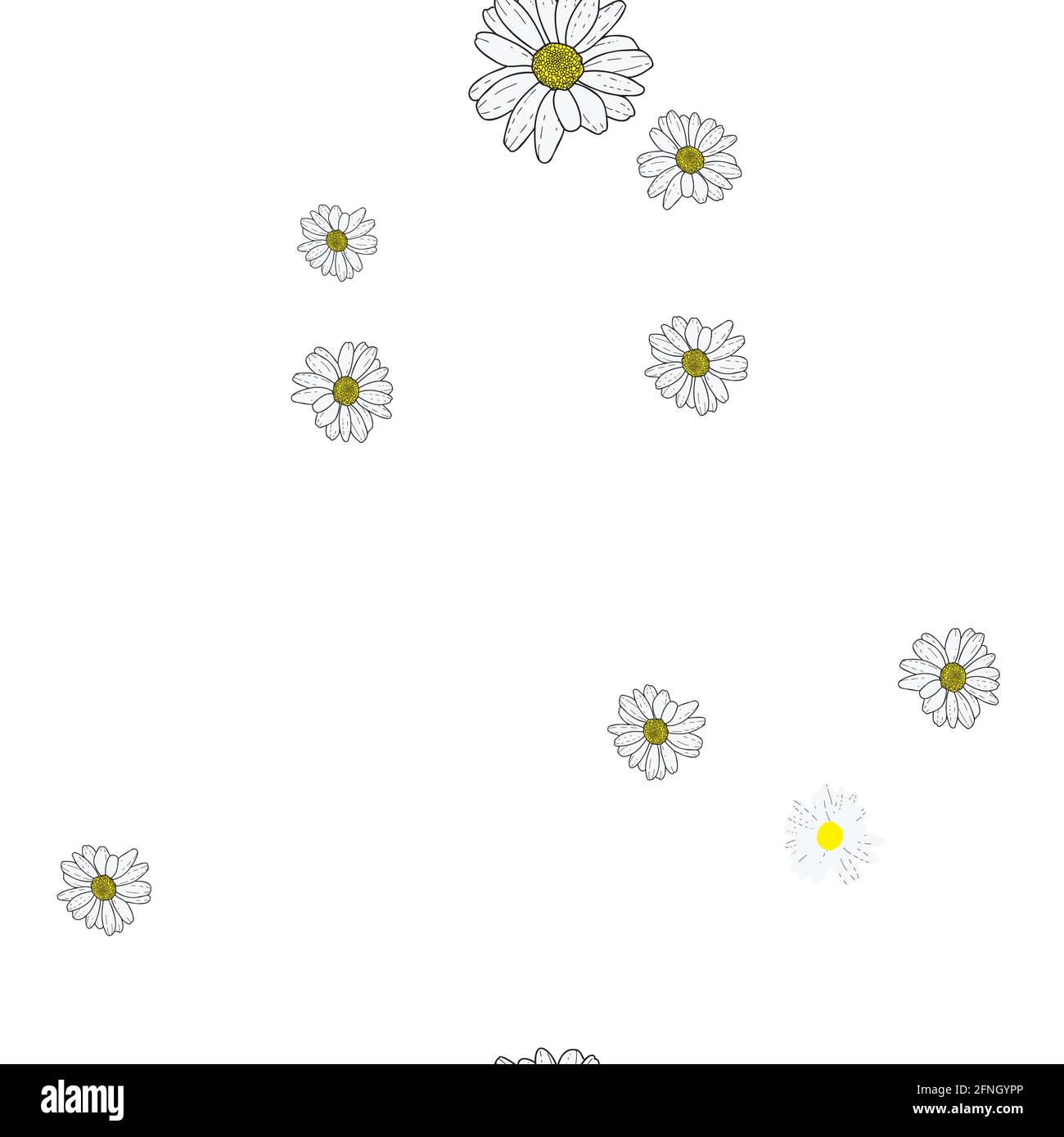 Vector white background daisy flowers and wild flowers. Seamless ...