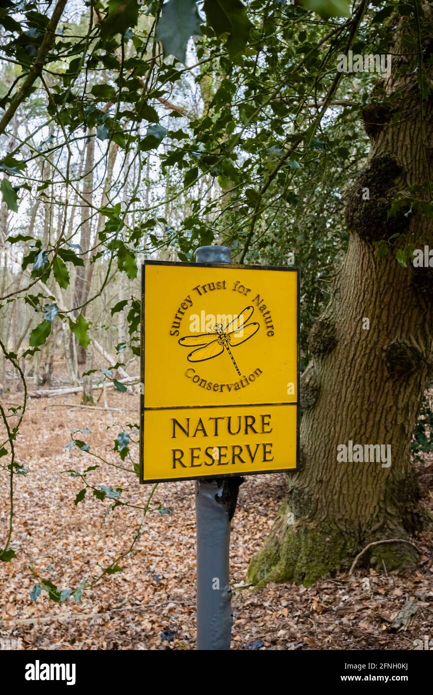 Yellow Nature Reserve sign for the Surrey Trust For Nature Conservation in the Gracious Pond area of Chobham, near Woking, Surrey, south-east England, Stock Photo