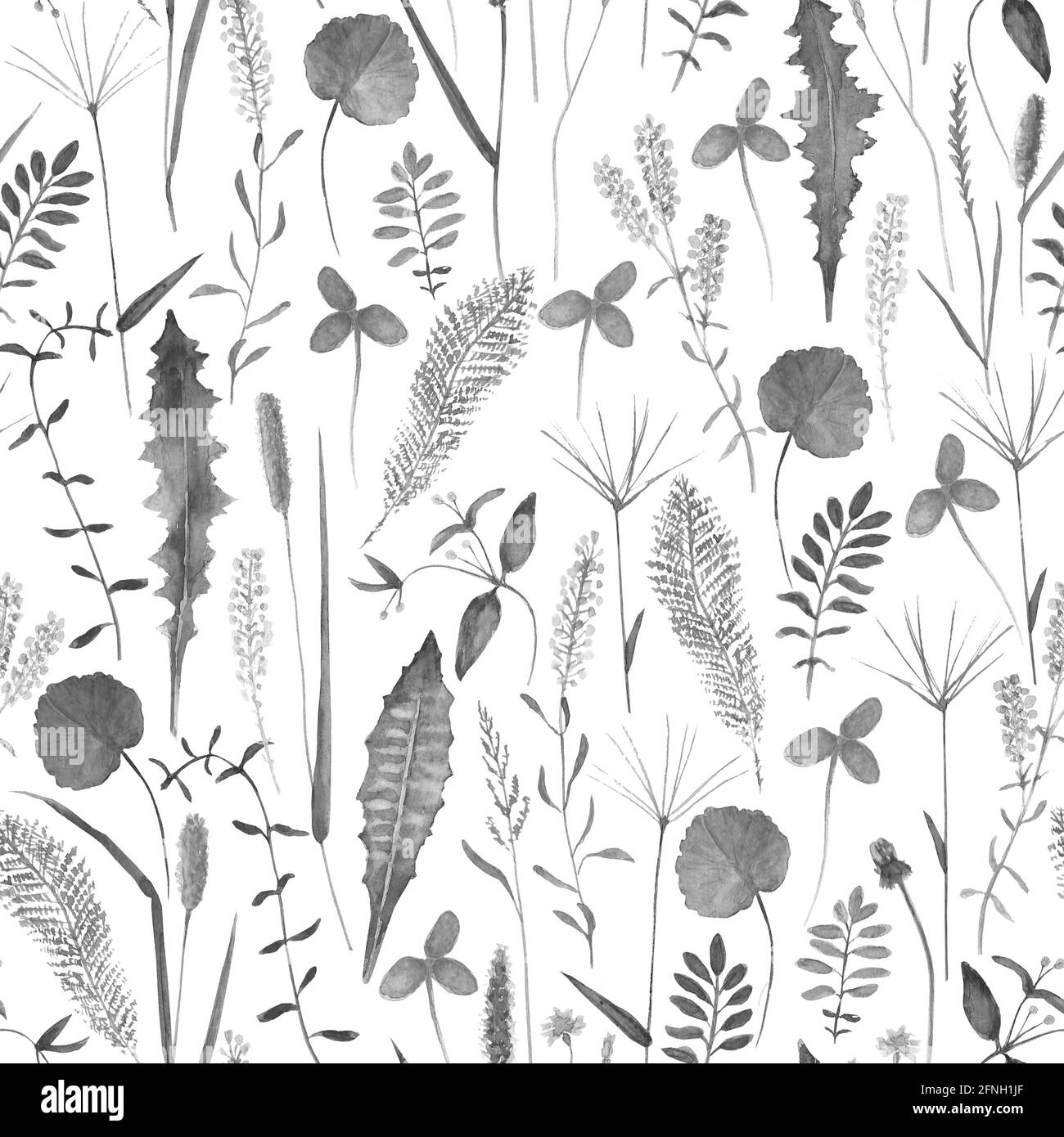 black and white seamless pattern Digital botanical clipart with healing ...