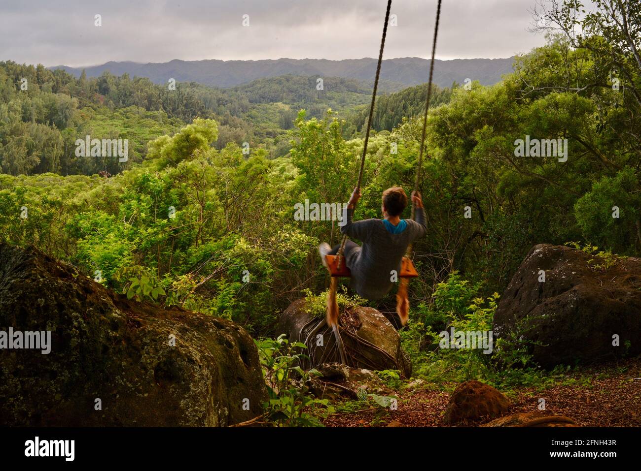 Woman sitting on rope swing hanging from tree, perched on hilltop of