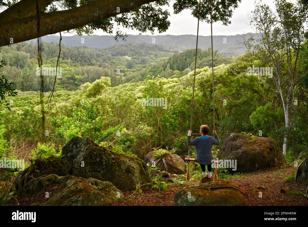 Woman sitting on rope swing hanging from tree, perched on hilltop of