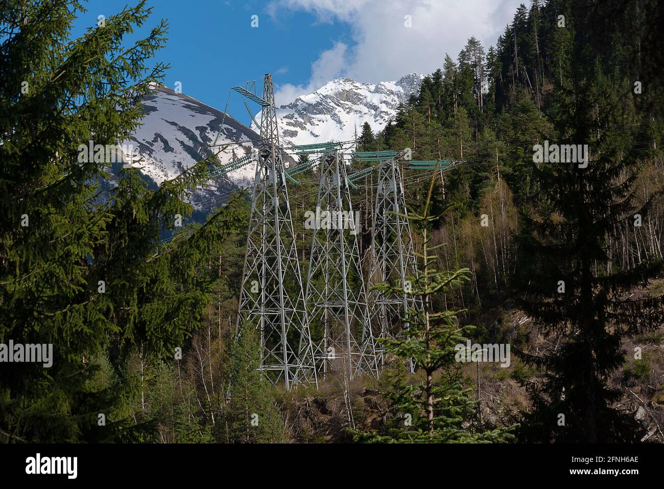 high voltage power lines next to conifers in the mountains Stock Photo ...