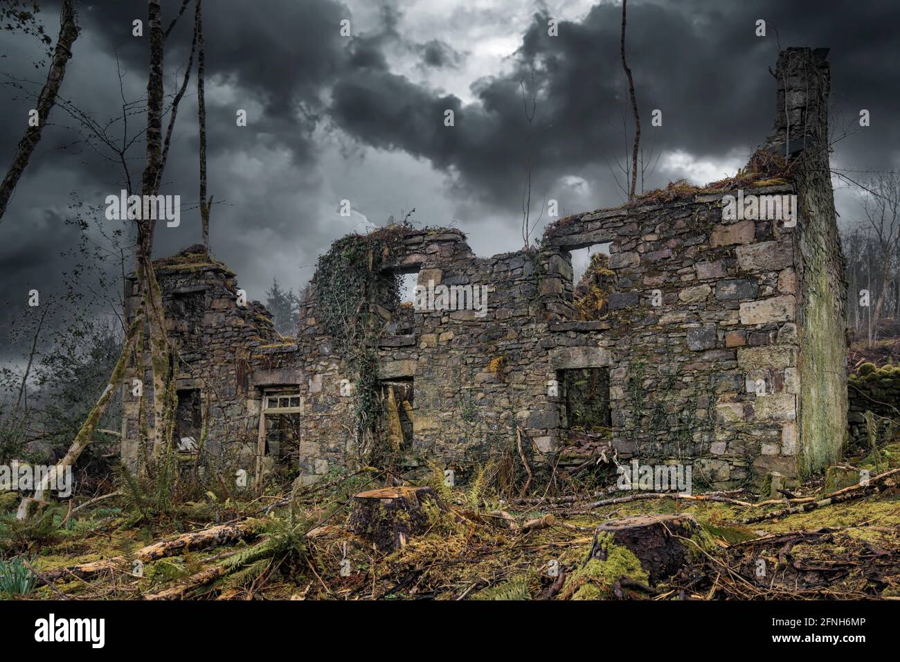 Abandoned ruined old remote rural Irish farmhouse county Leitrim Ireland Stock Photo
