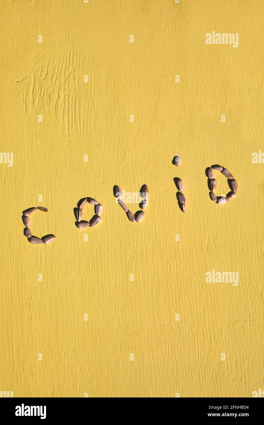 Word Covid made from sunflower seeds on yellow textured sunlit background. Mental health concept of sun and nature to stay positive and optimistic Stock Photo