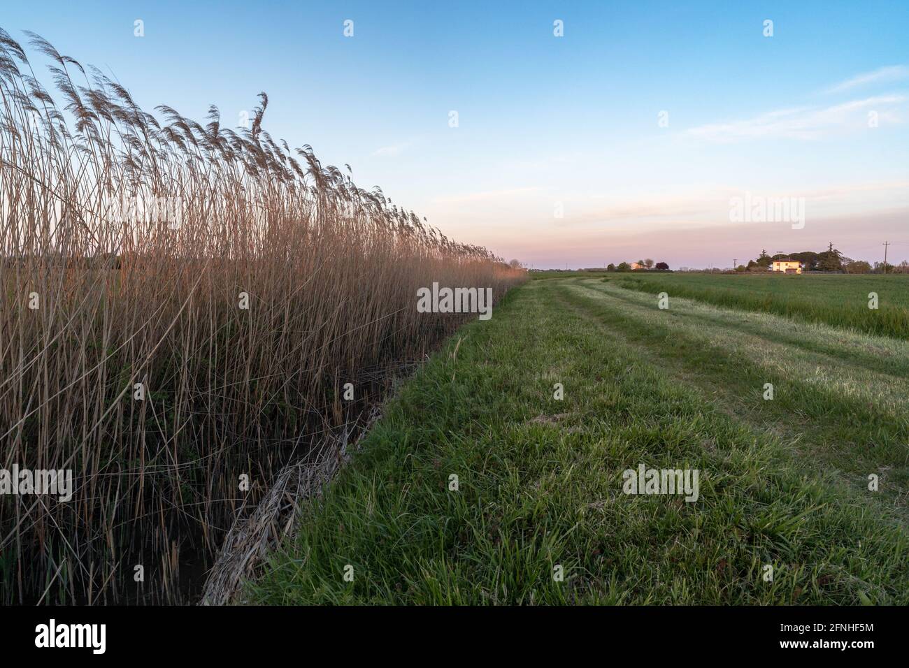 Scenic view of sunset into the countryside of Ferrara Stock Photo