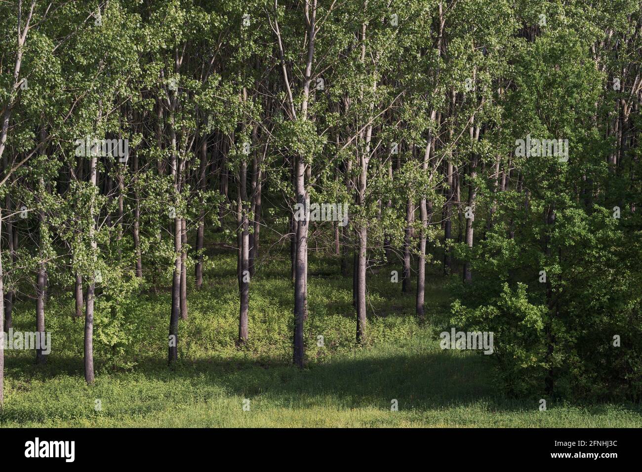 Romantic scenic landscapes hi-res stock photography and images - Alamy