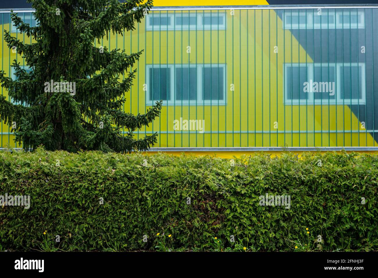 View from the street to a colorful house facade of an office building. Stock Photo