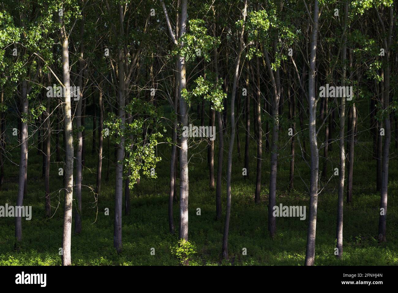 Romantic scenic landscapes hi-res stock photography and images - Alamy