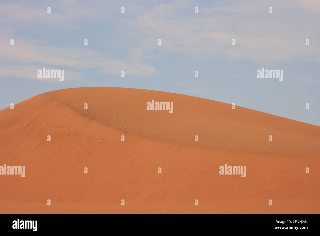 Perfect sand dunes patterns and landscape Namib-Naukluft National Park, Namibia. Stock Photo
