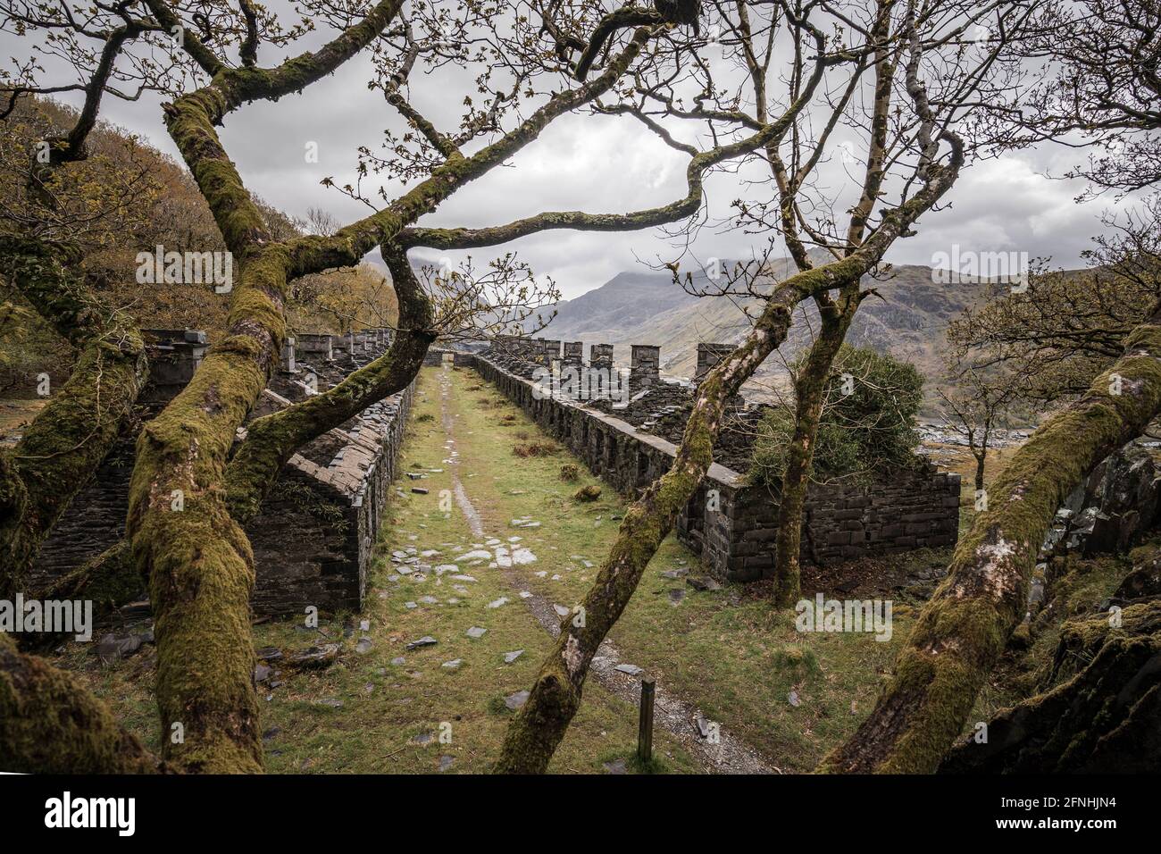 Row of abandoned old miners cottages in slate mine quarry Dinorwic
