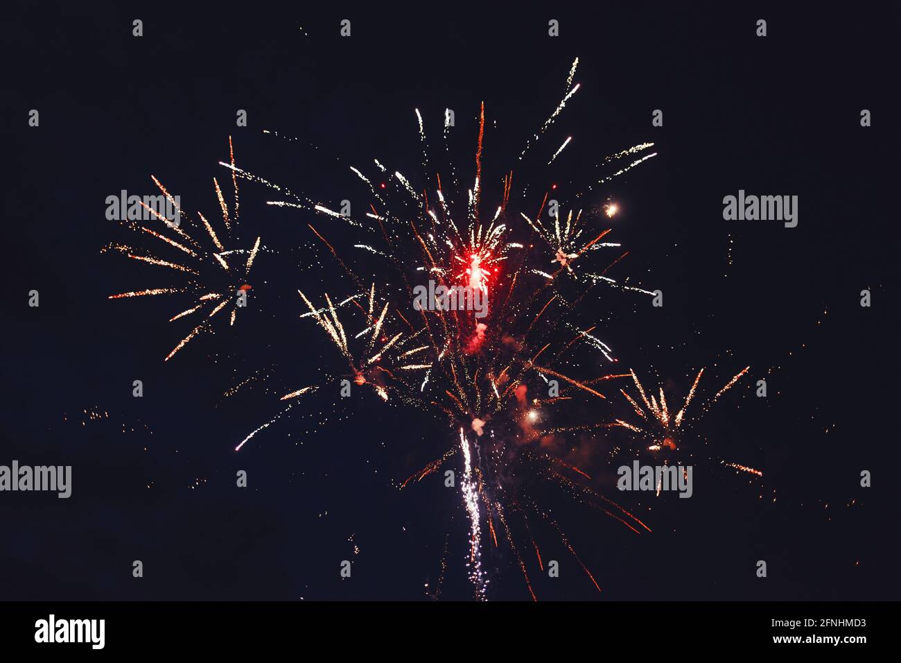 Celebratory bright firework in a night sky. Stock Photo