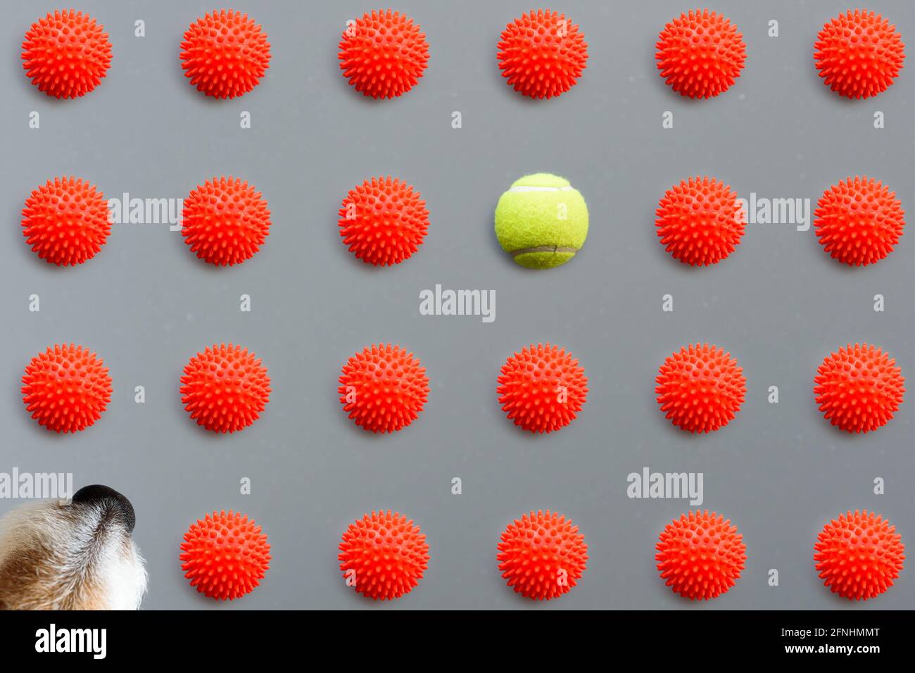 Minimalist concept of better choice for pet owners with one-of-a-kind tennis ball vs a lot of squeaky dog toys Stock Photo