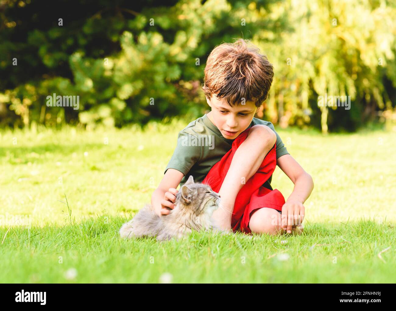 Kid boy cares about his pet cat petting her while sitting on back yard lawn on sunny summer day Stock Photo