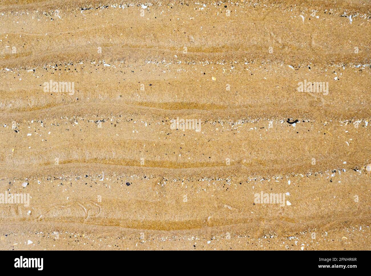 Ridge patterns on a sandy beach at St Annes, Lancashire, UK, caused by wave motion Stock Photo