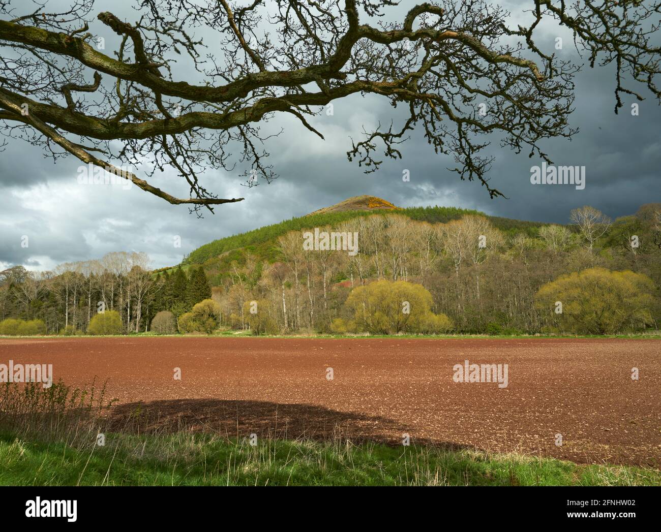 Atmospheric springtime landscape of The Black Hill Earlston in the Scottish Borders with ploughed field with red soil in the foreground. Stock Photo