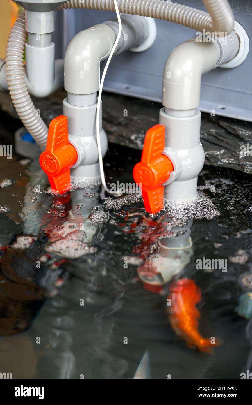Closeup of the inlet and outlet valves on the filter water tank of the goldfish tank Stock