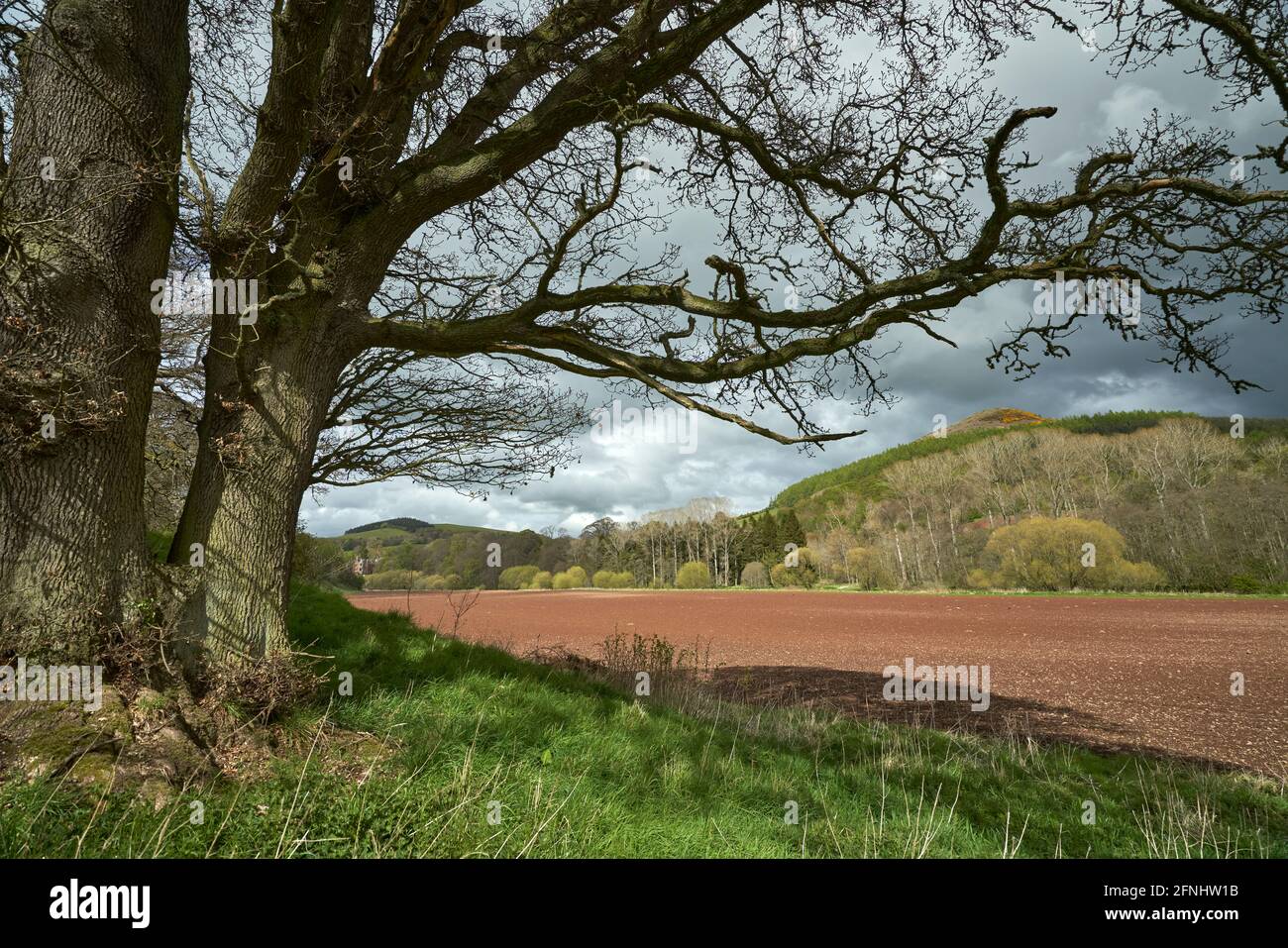 Atmospheric springtime landscape of The Black Hill Earlston in the Scottish Borders with ploughed field with red soil in the foreground. Stock Photo