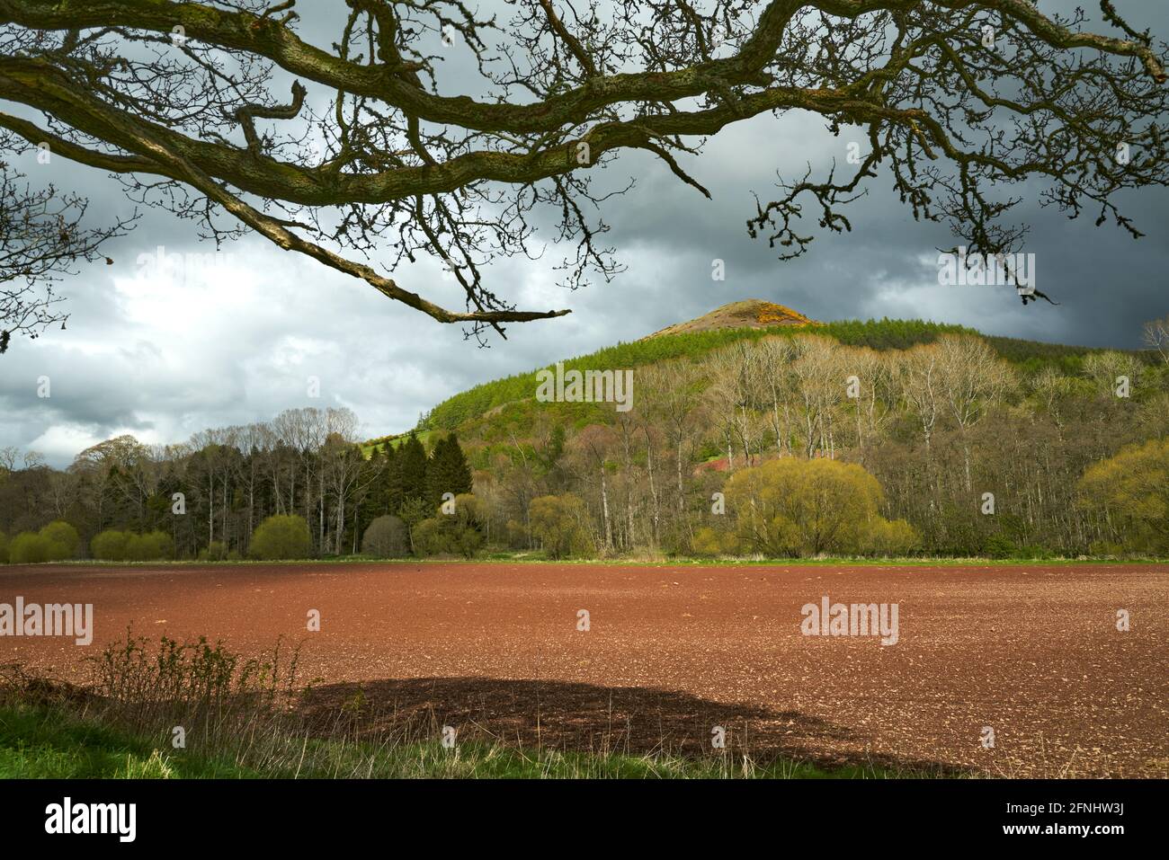 Atmospheric springtime landscape of The Black Hill Earlston in the Scottish Borders with ploughed field with red soil in the foreground. Stock Photo