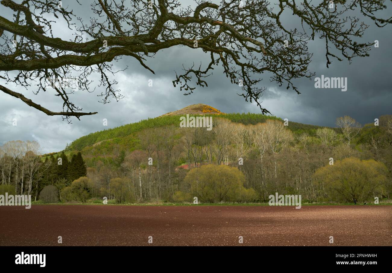 Atmospheric springtime landscape of The Black Hill Earlston in the Scottish Borders with ploughed field with red soil in the foreground. Stock Photo