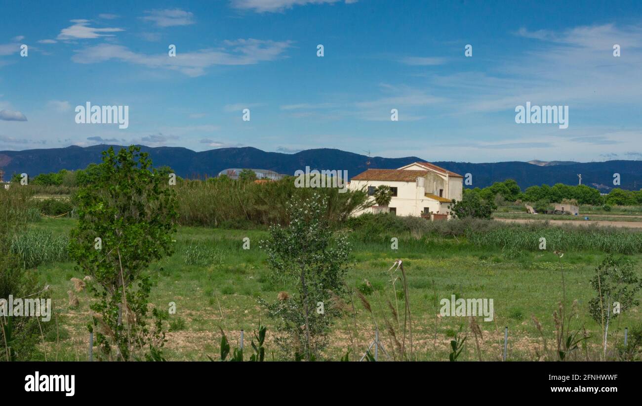 agriculture farm on the outskirts of barcelona in spain Stock Photo Alamy