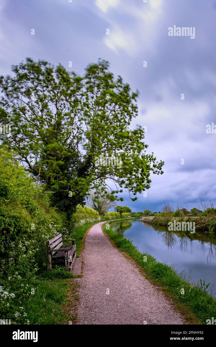 Empty footpath canal trees hi-res stock photography and images - Alamy