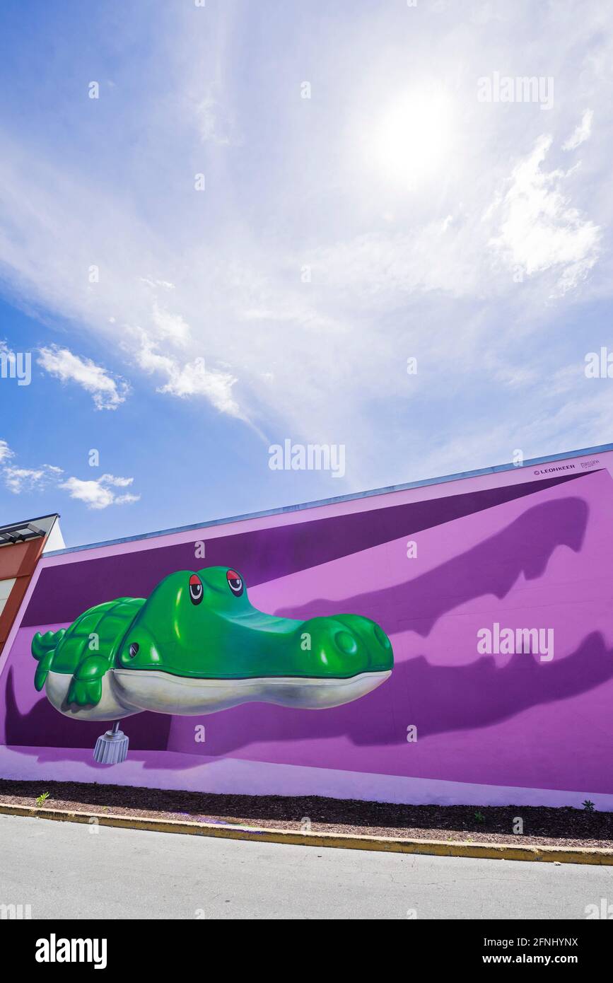 Gator Mural, 'Dream Big' is an anamorphic 3D piece of artwork created  by artist Leon Keer who is world-famous. Stock Photo