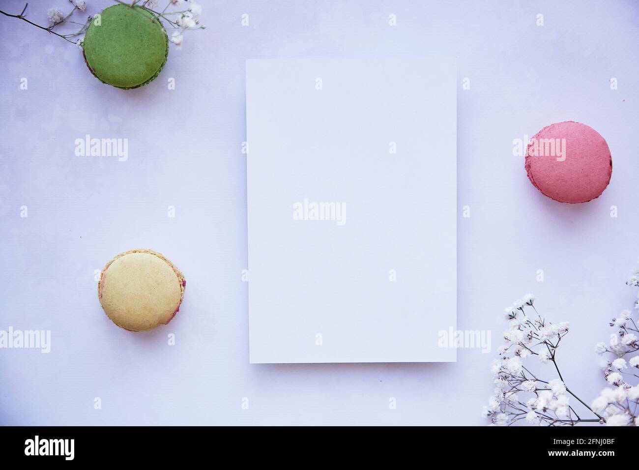 Mock up of stationery card on purple vintage surface. Bright colorful macaroons, gypsophila. Happy holidays or present card concept. Top view. Feminine concept. Stock Photo