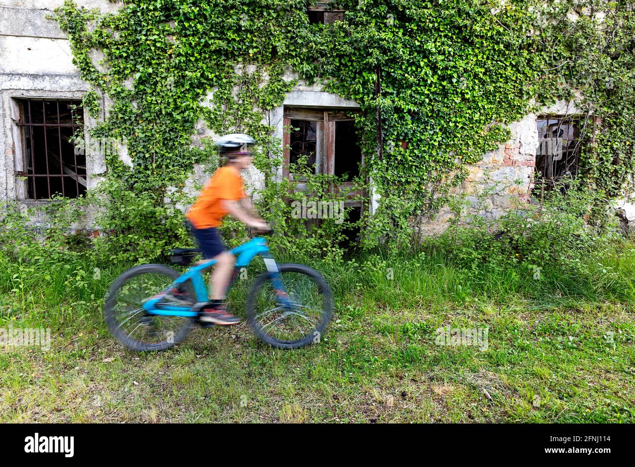 Boy cycling at the ruin of an overgrown abandoned stone house, Vipava valley , Slovenia Stock Photo