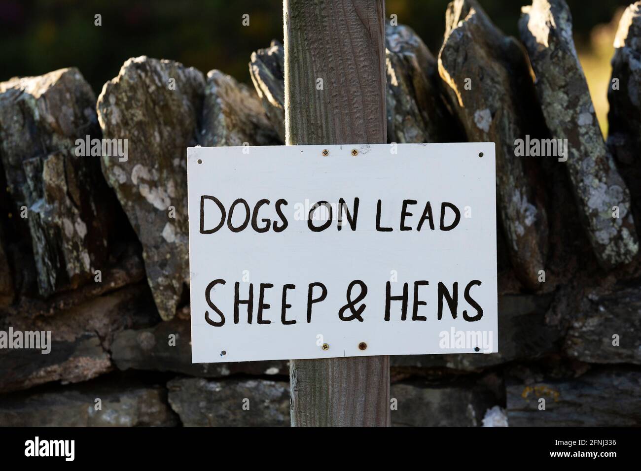 A sign reminds walker to keep their dogs on leads in Cumbria, England. The farmland through which people walk has sheep and hens. Stock Photo