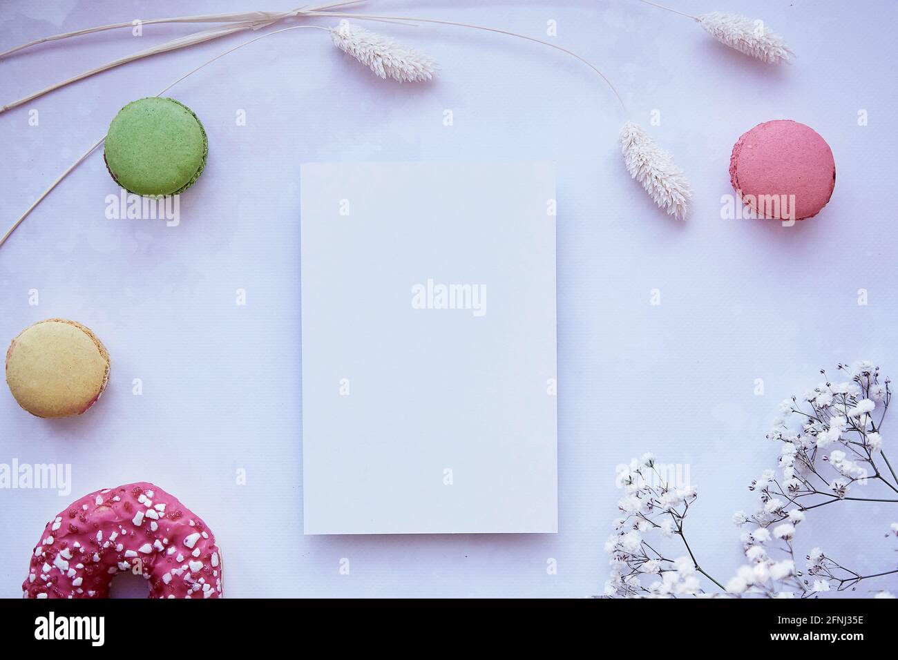 Mock up of stationery card on purple vintage surface with bright colorful macaroons, gypsophila. Happy holidays or present card concept. Top view. Feminine concept Stock Photo