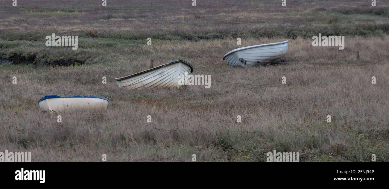 Three small rowing boats tied up and out of the water and among vegetation on the North Norfolk coast Stock Photo
