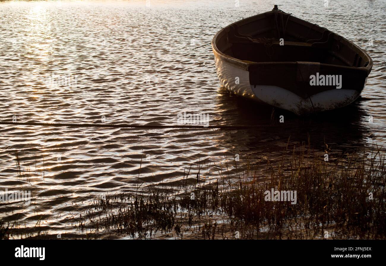 Single rowing boat at rest and empty caught in early evening sunlight with rippled water and reeds Stock Photo