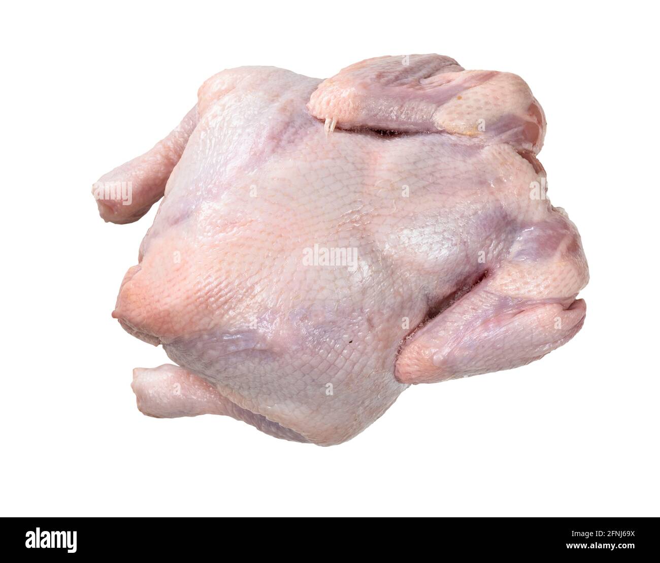 whole air chilled uncooked chicken cutout on white background Stock Photo