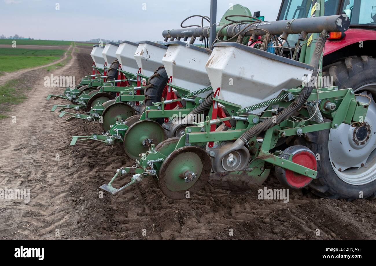 Seeder box is full with corn seeds and attached to tractor for sowing in springtime Stock Photo